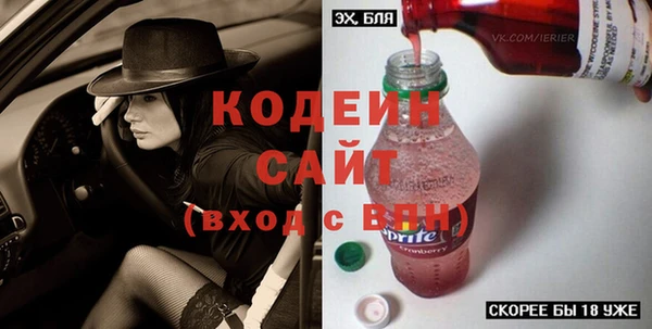 крисы Новозыбков