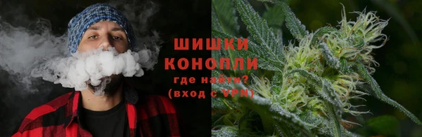 крисы Новозыбков
