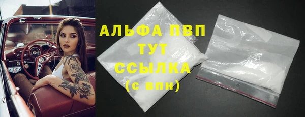 крисы Новозыбков