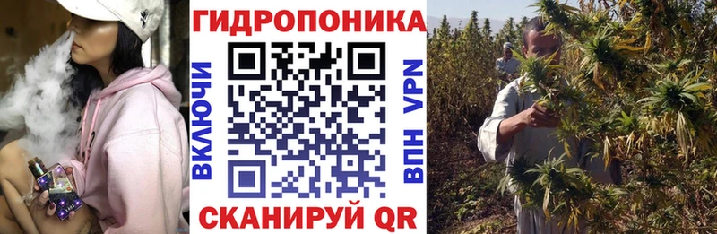 Бошки Шишки MAZAR  Игра 